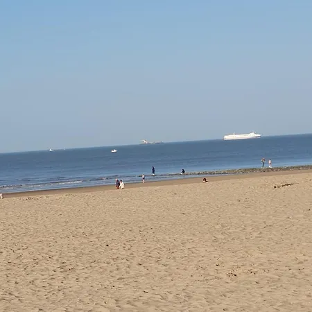 Escale Marine Harendijk